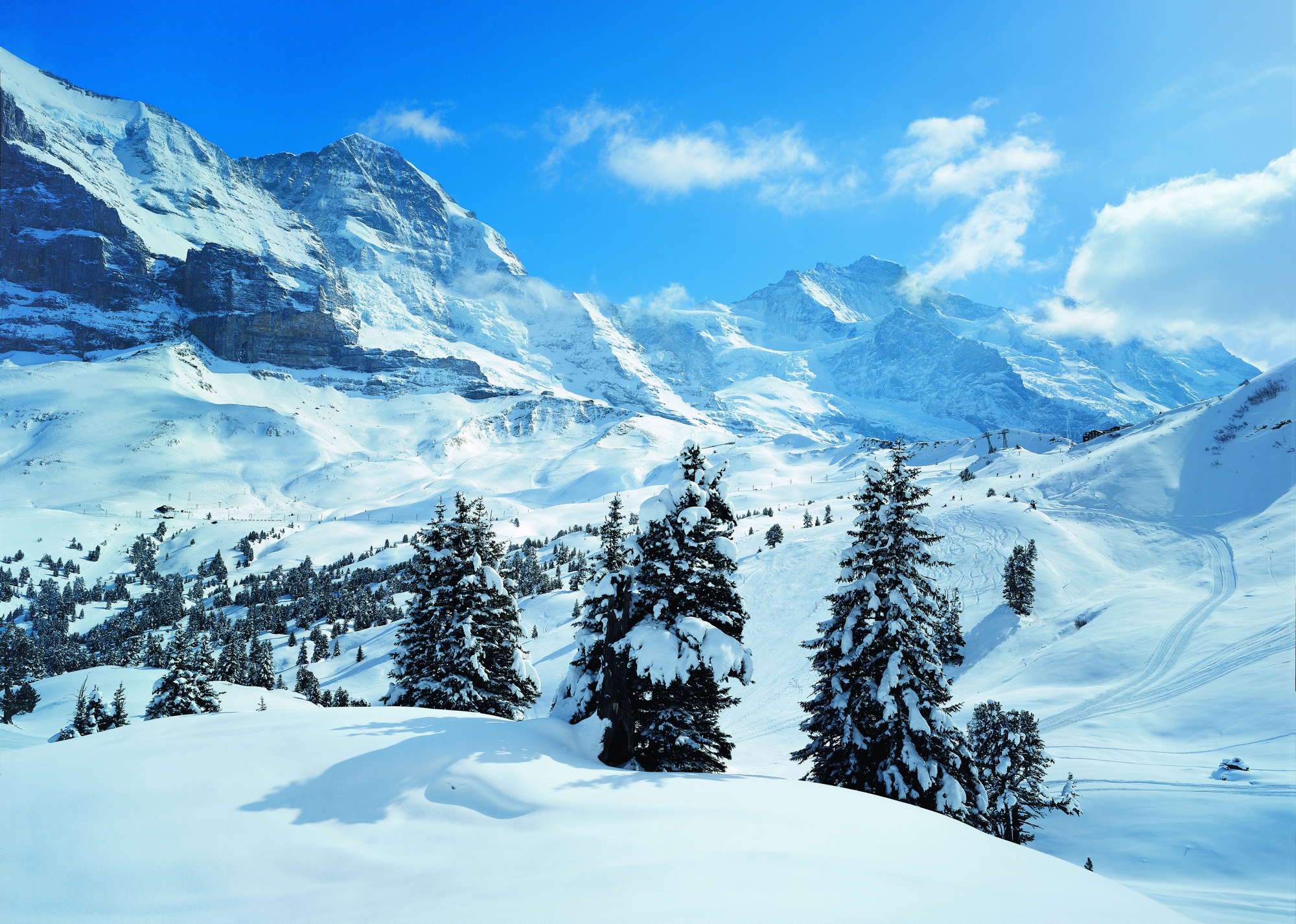 in Lauterbrunnen Wengen