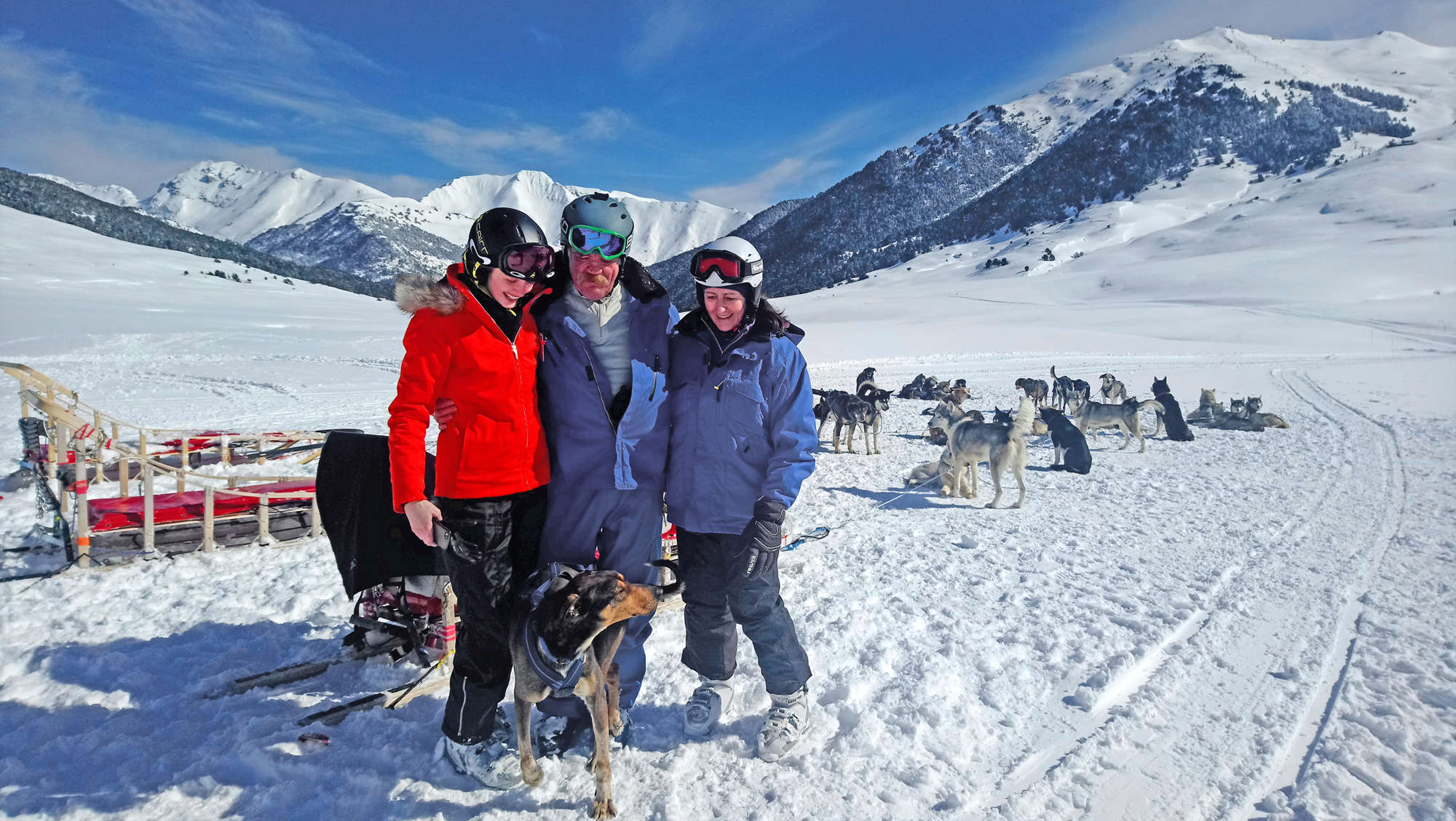 in Baqueira Dog-sledding in Baqueira