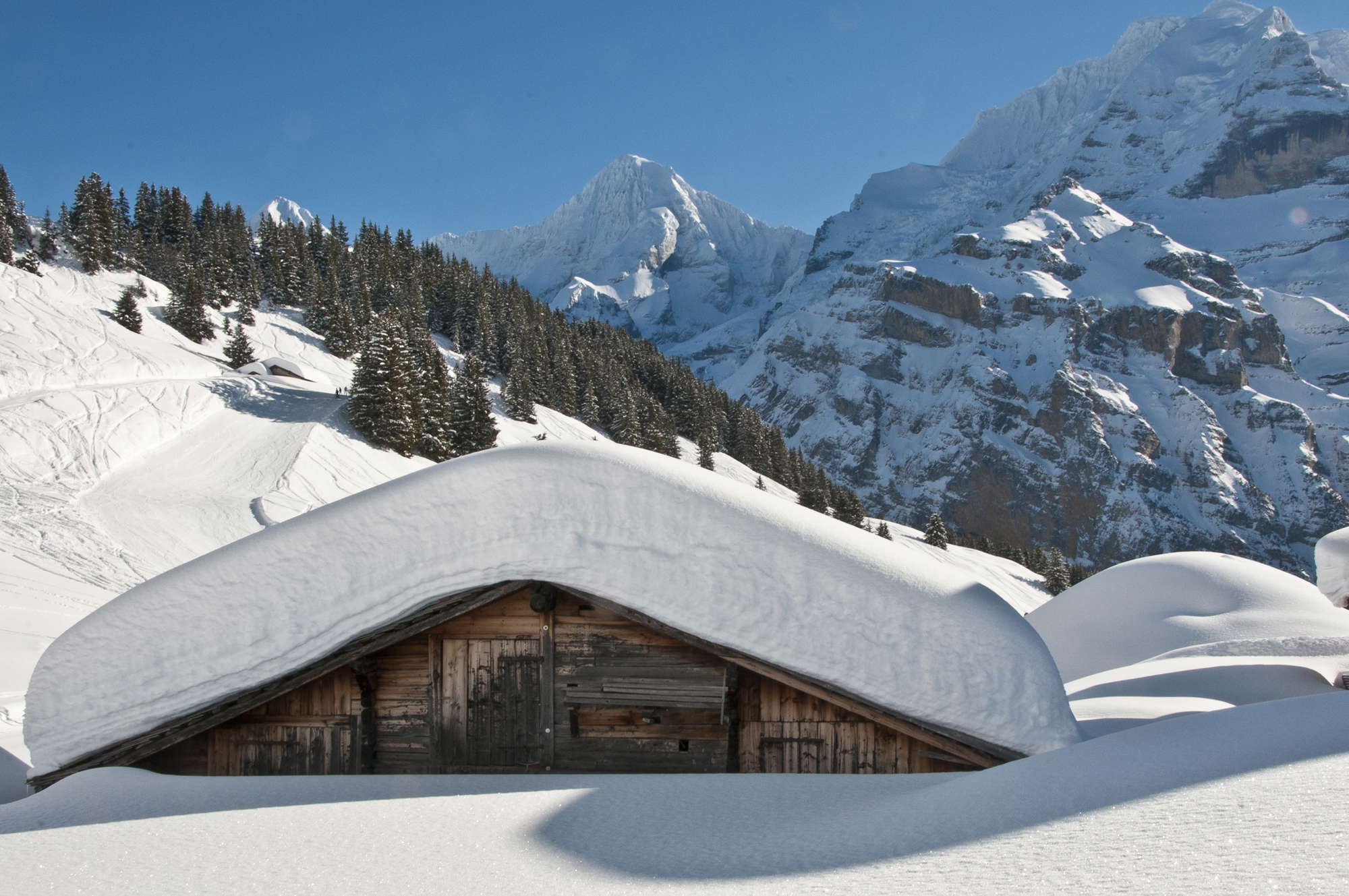 in Lauterbrunnen Swiss hut in Lauterbrunnen